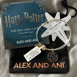 Harry Potter Boy Who Lived Alex and Ani